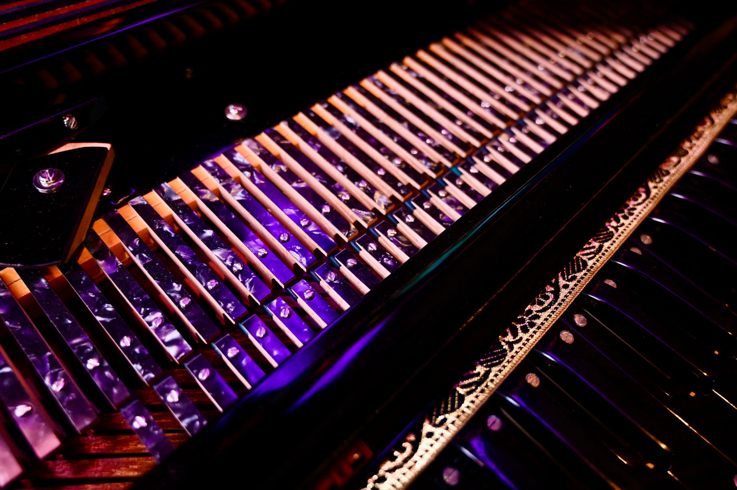 Royal Black Gold Harmonium – 3X 9 Reed Handmade Edition